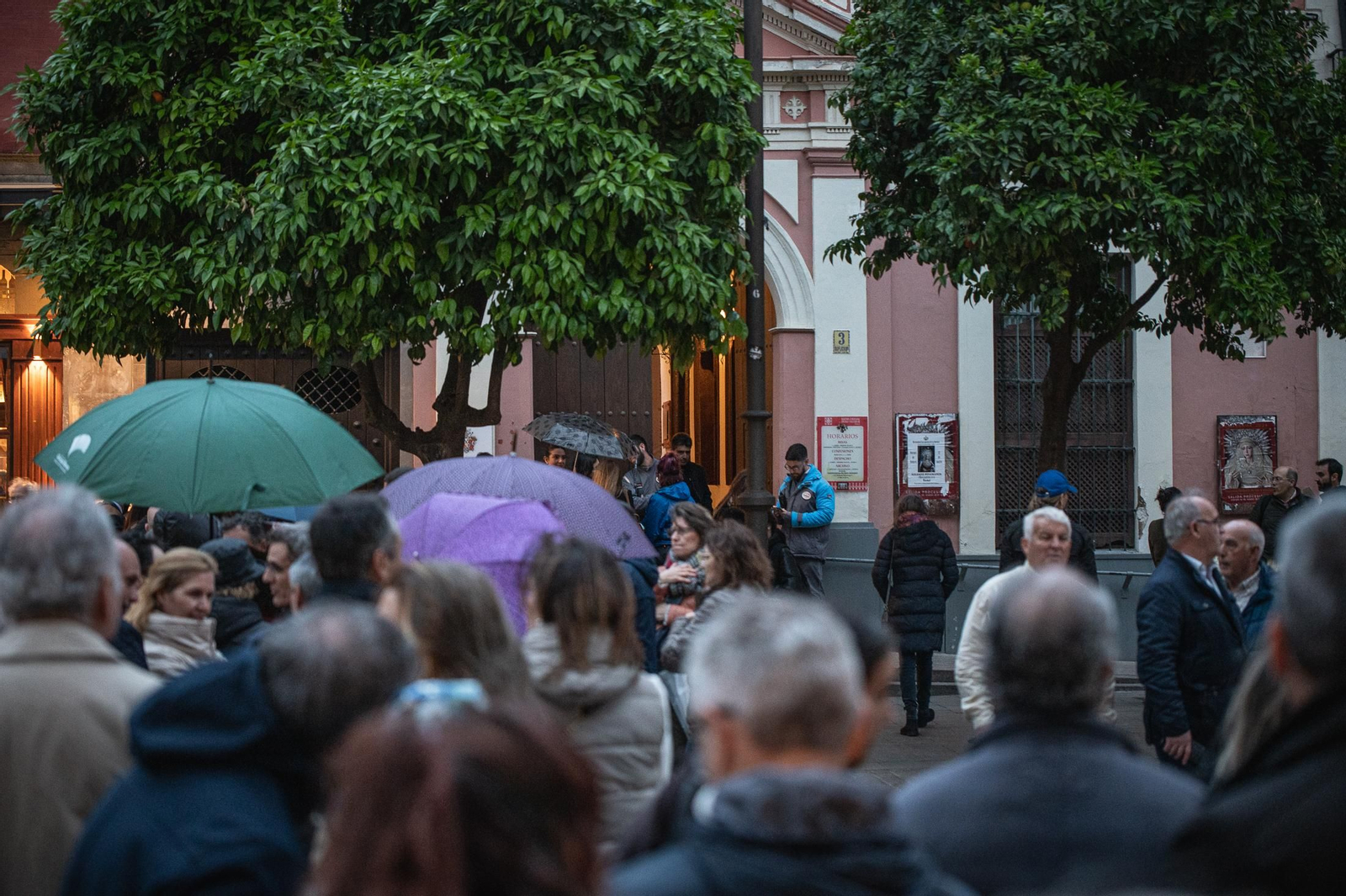 Las imágenes de la Hermandad de Pasión en la Semana Santa de Sevilla 2024