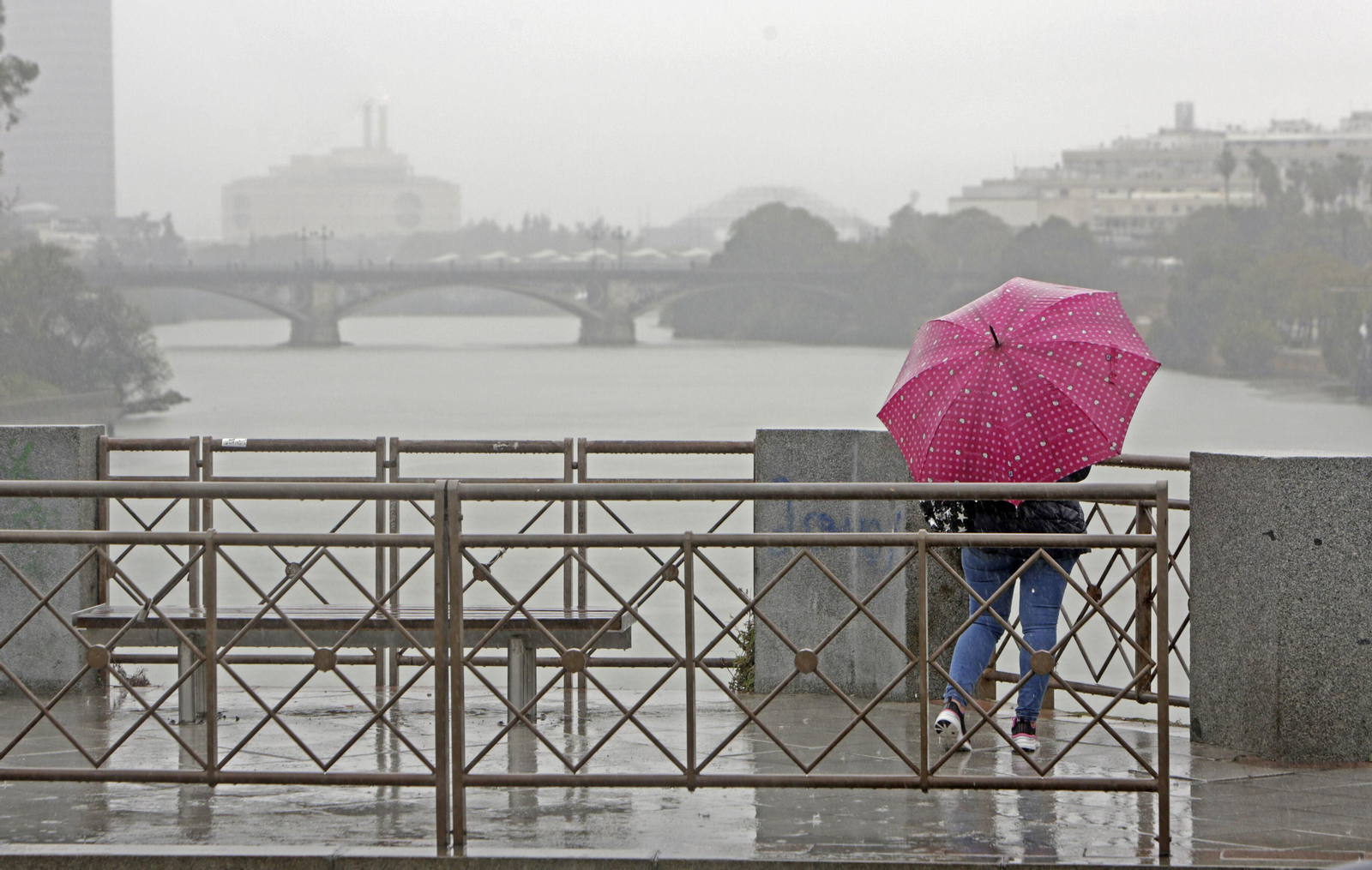 Una mujer se cubre de la lluvia con un paraguas tras las últimas tormentas del mes de mayo en Sevilla.
