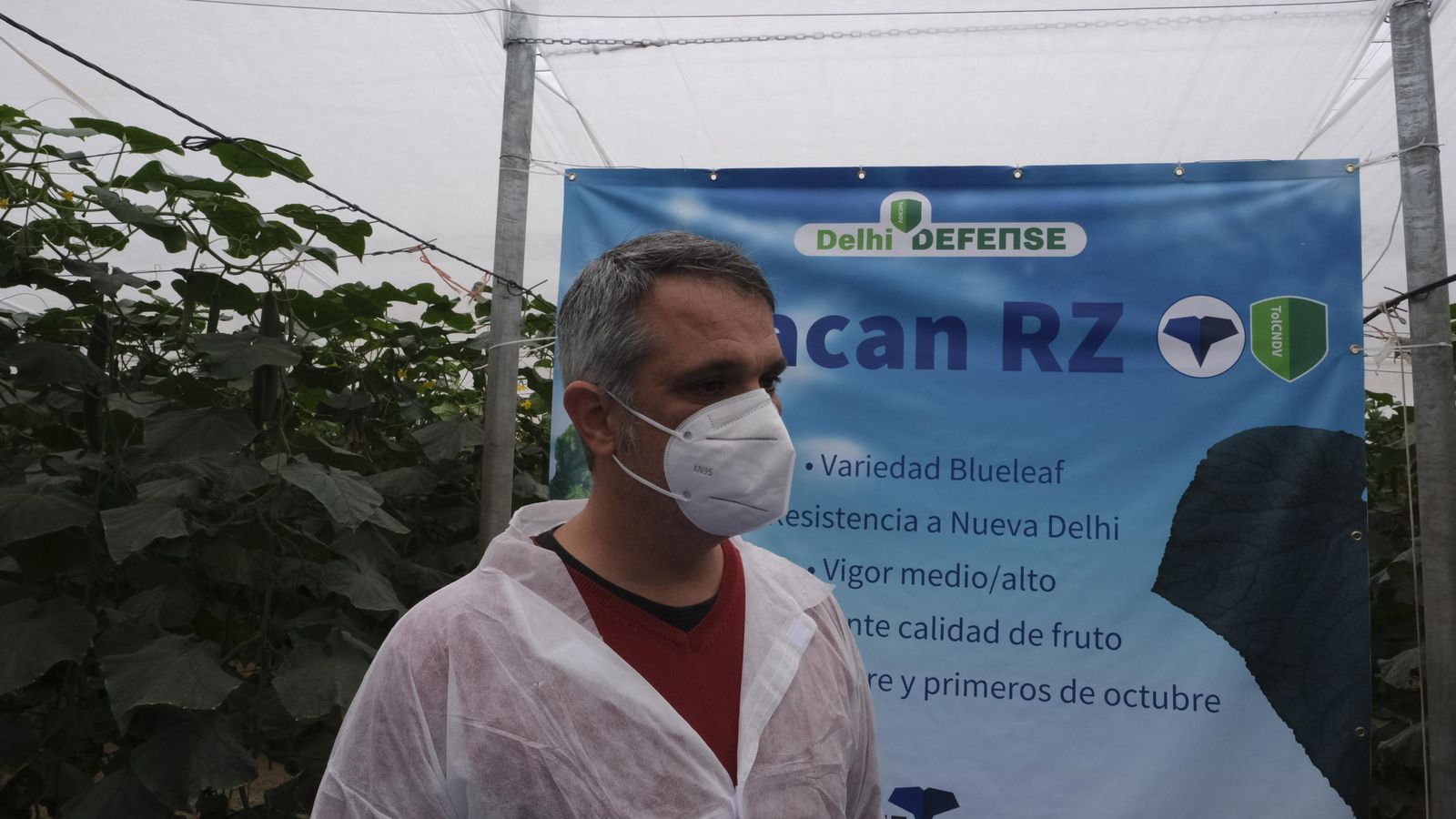 Javir López, responsable de pepino de RZ, explicando las características de Huracán