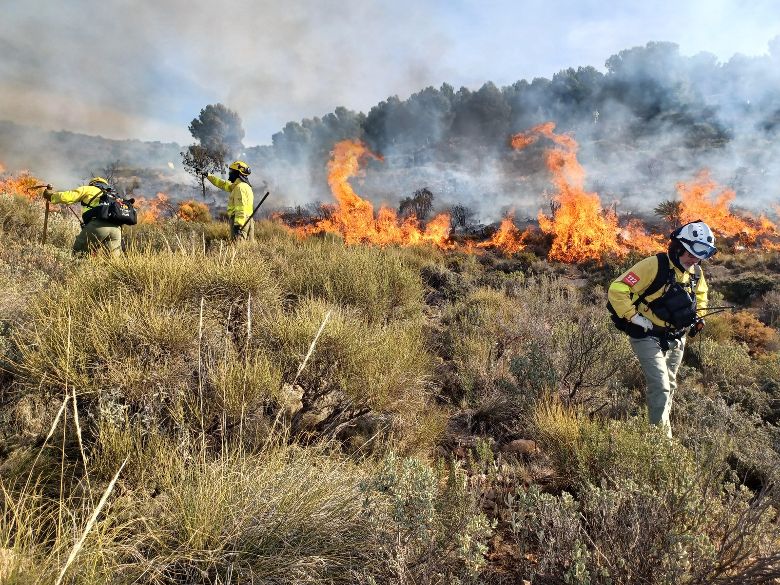 Quema prescrita del Infoca en Cortijo Clavero de Dalías