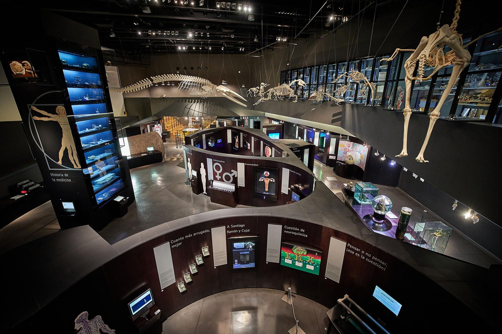 Una foto de la exposición 'Viaje al cuerpo humano' del Parque de las Ciencias