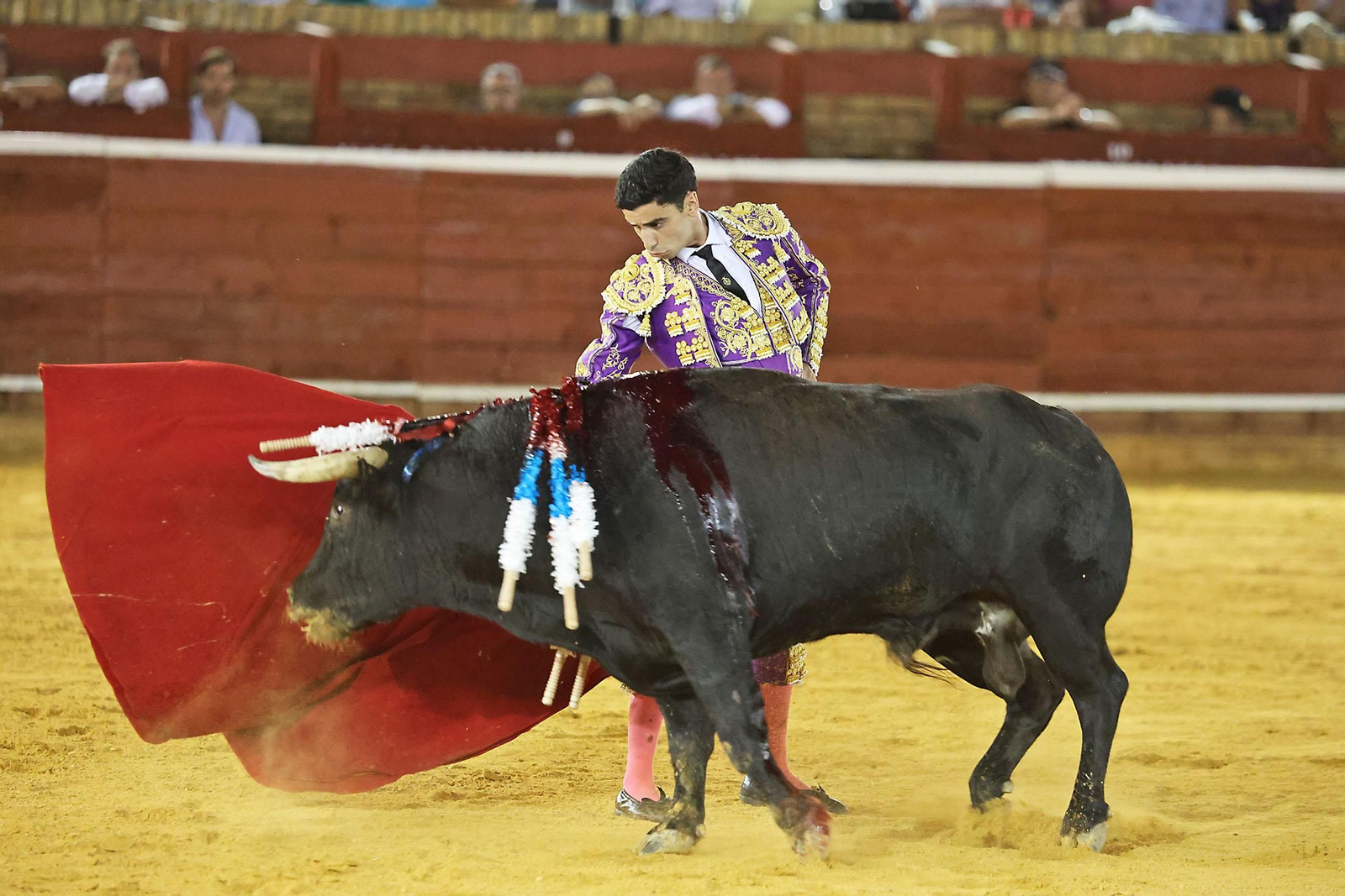 Toros La Merced 2024 Novillada con picadores(