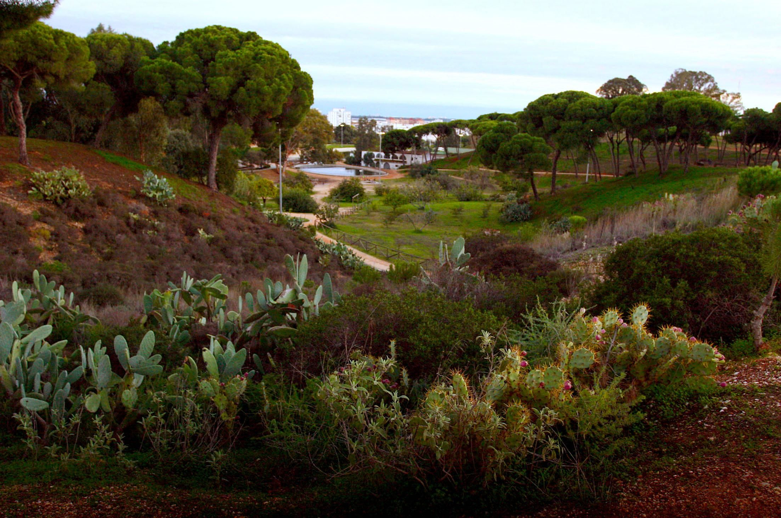 Así es el pulmón verde de Huelva, el parque urbano más grande de Andalucía