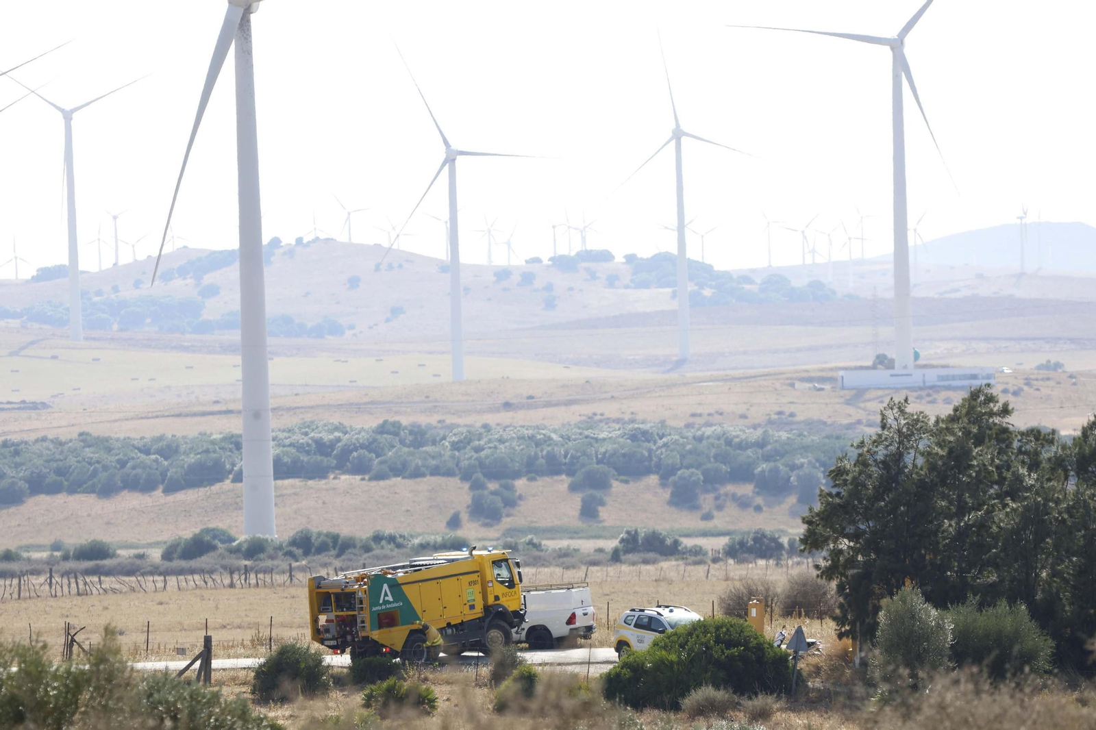 Las fotografías del incendio forestal en Facinas (Tarifa)