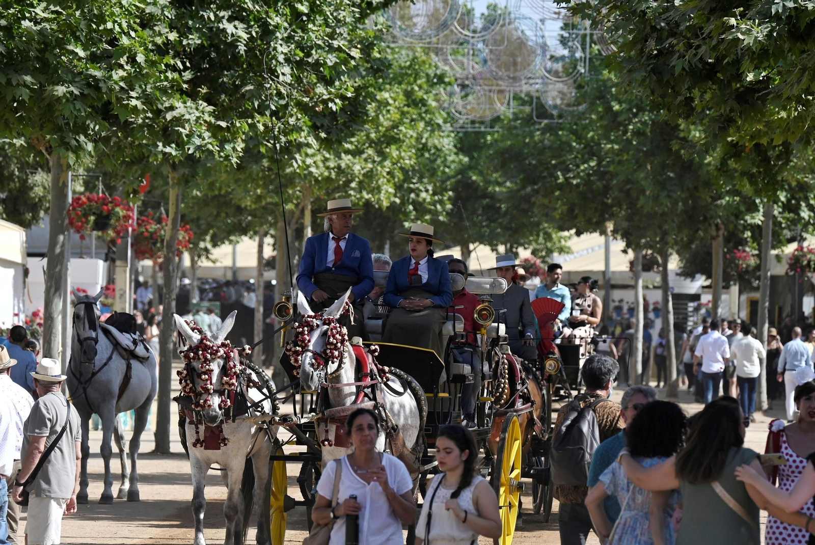El Día del Caballo en la Feria de Córdoba