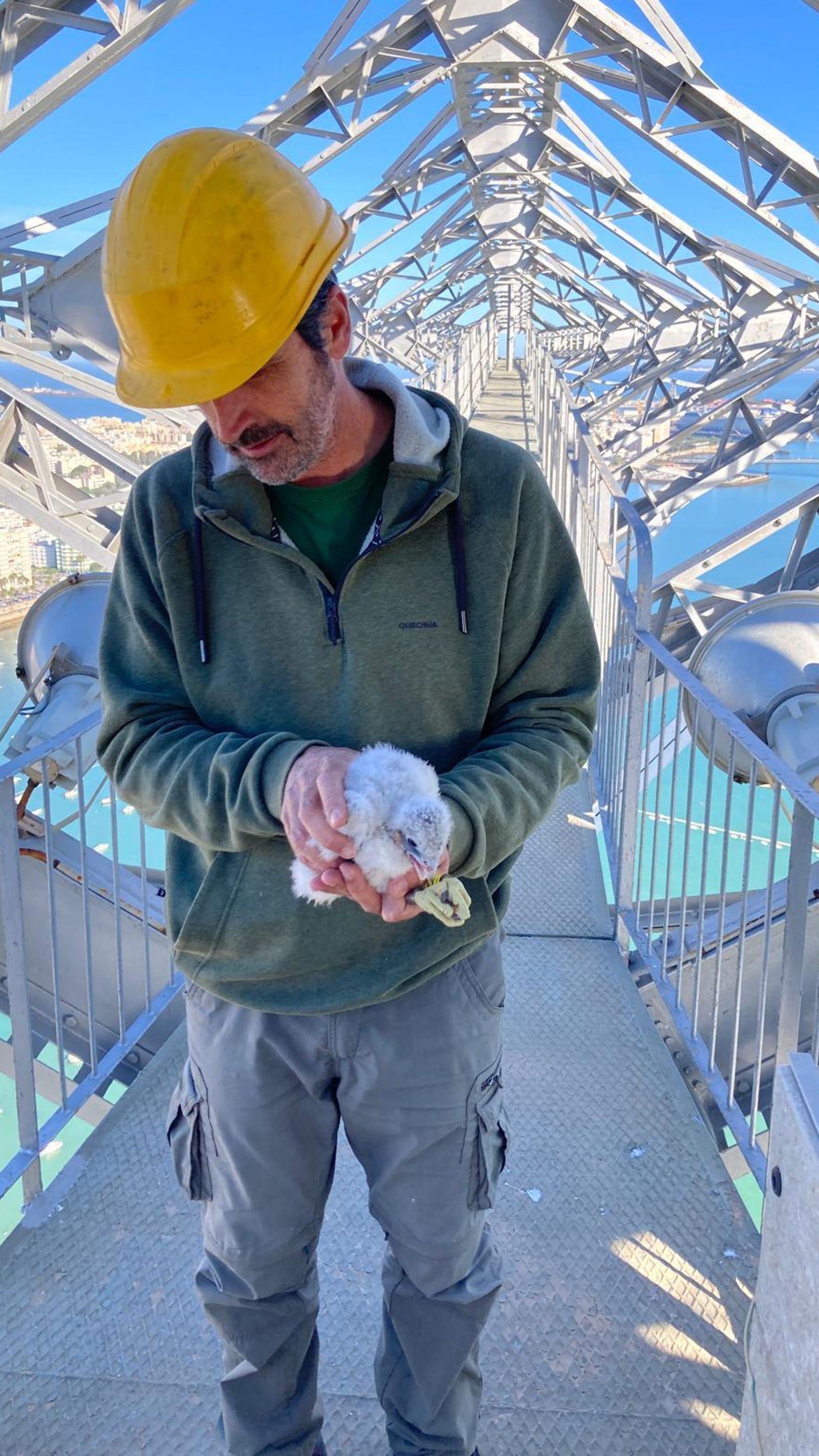 Un técnico con el ejemplar