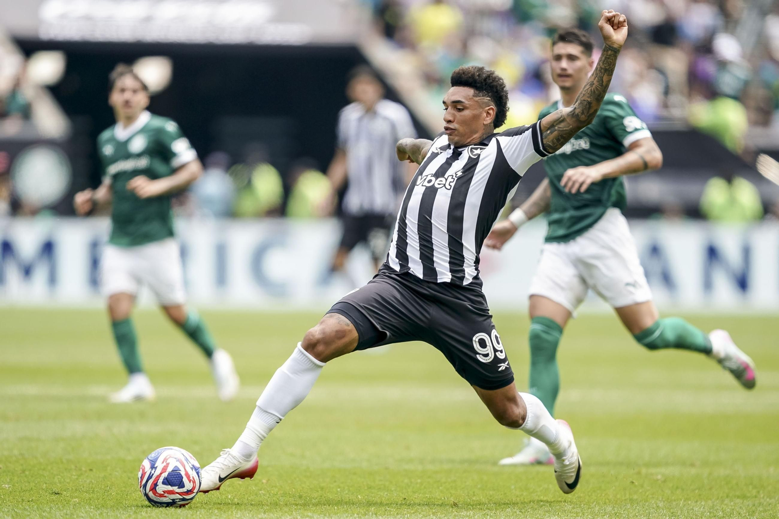 Palmeiras-Botafogo (24).jpg