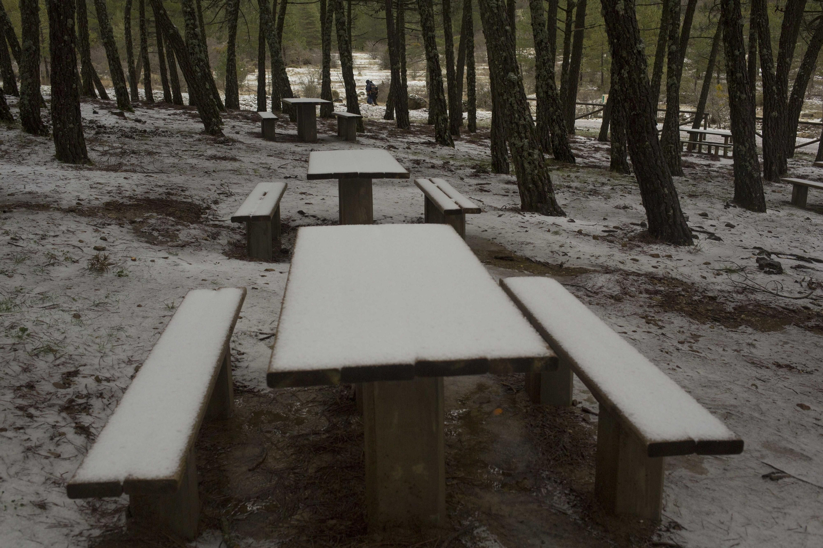 Las imágenes de la primera nevada del invierno en la Sierra de las Nieves