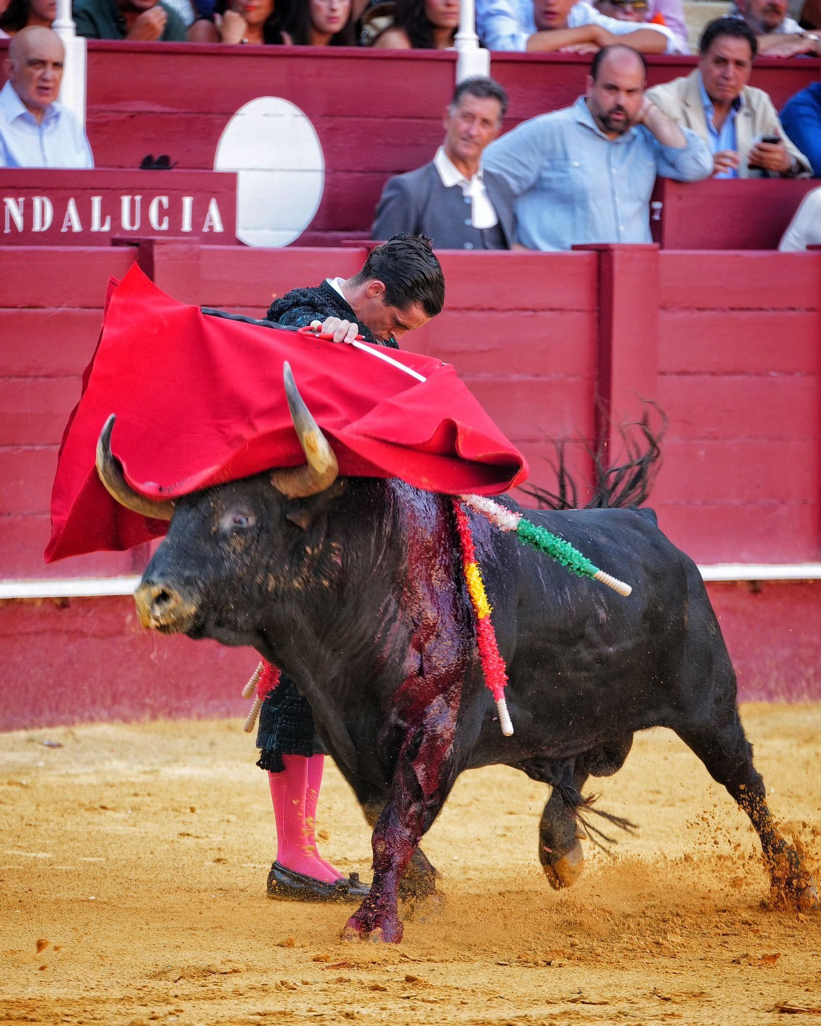 David Galván reaparece en Málaga sin suerte con la espada