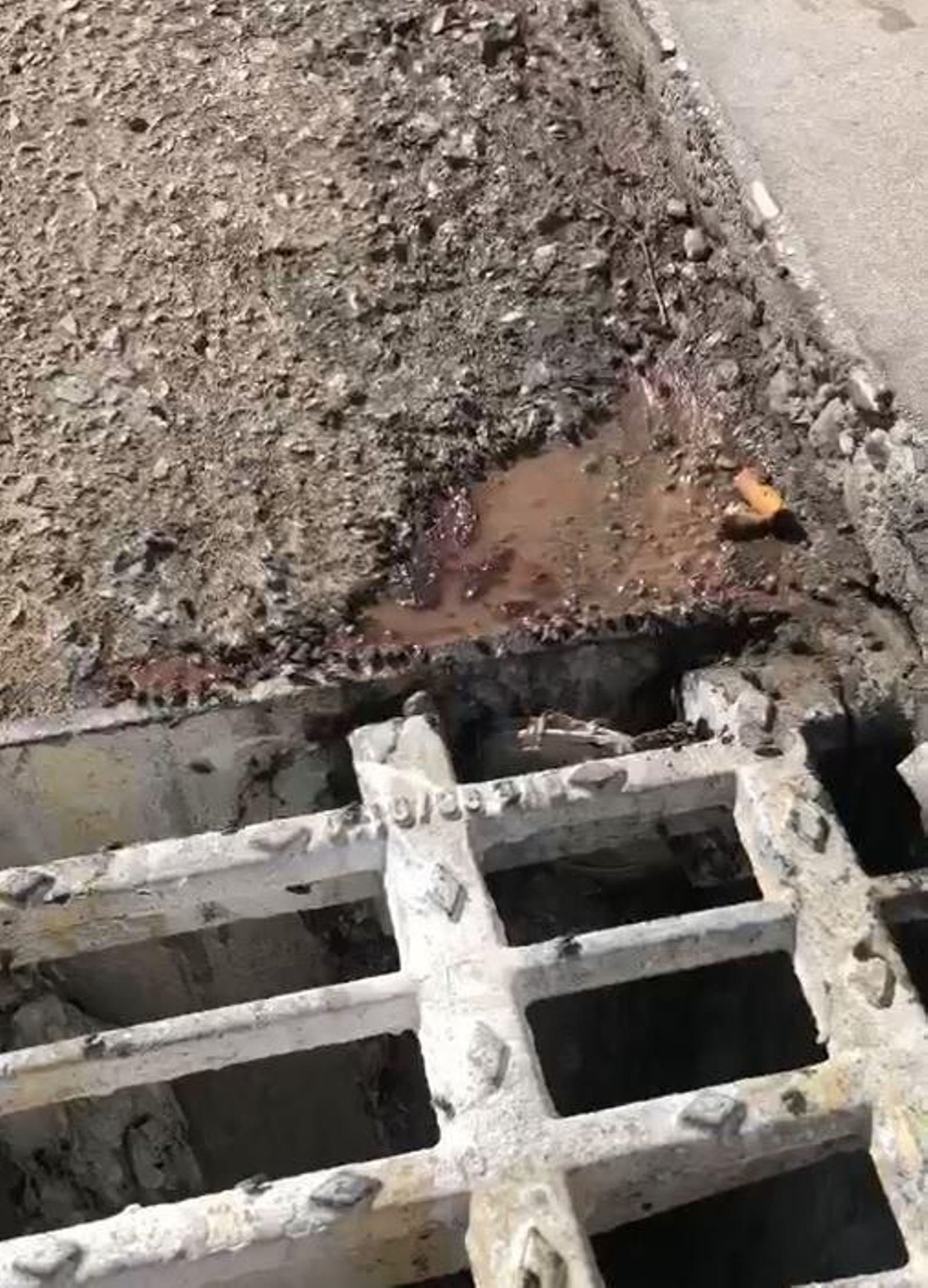 Así estaba la nave foco de la plaga de moscas en Jerez