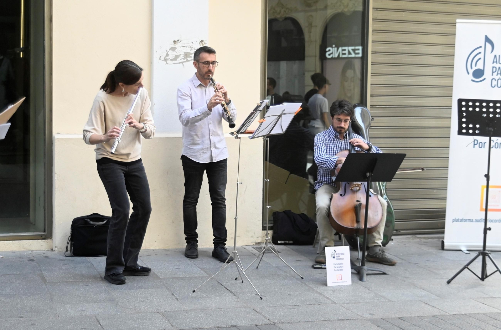 El concierto de la Plataforma Ciudadana Auditorio para Córdoba