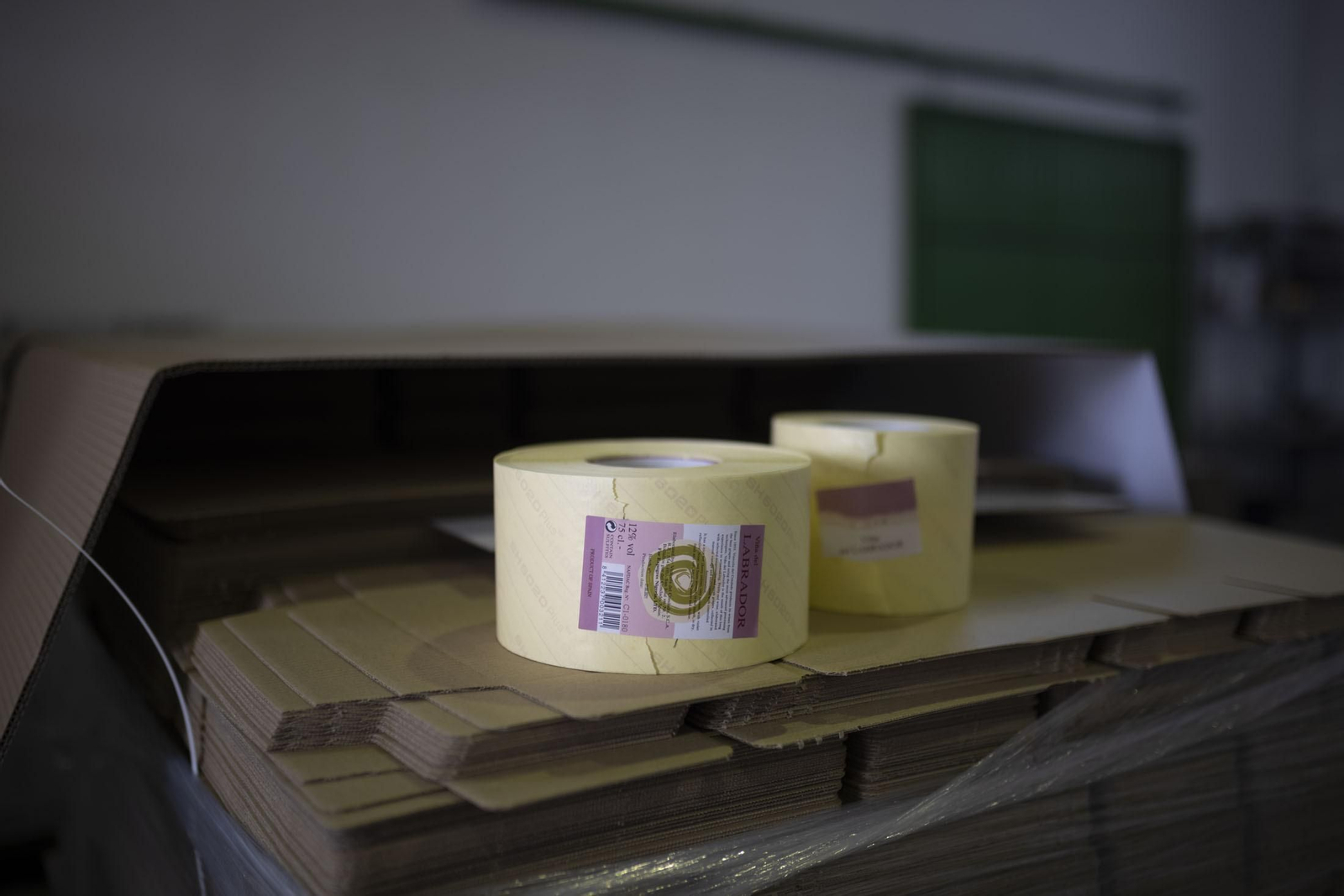 Imágenes de la vendimia en el Condado de Huelva