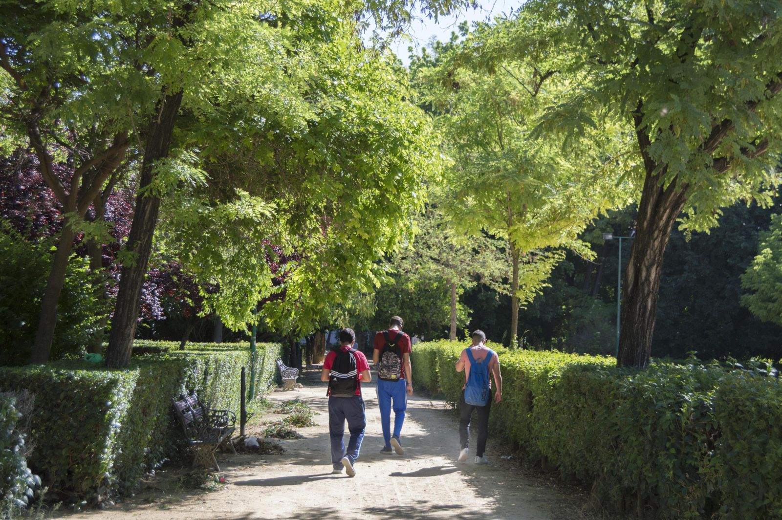 El estado de los Jardines del Valle, en imágenes