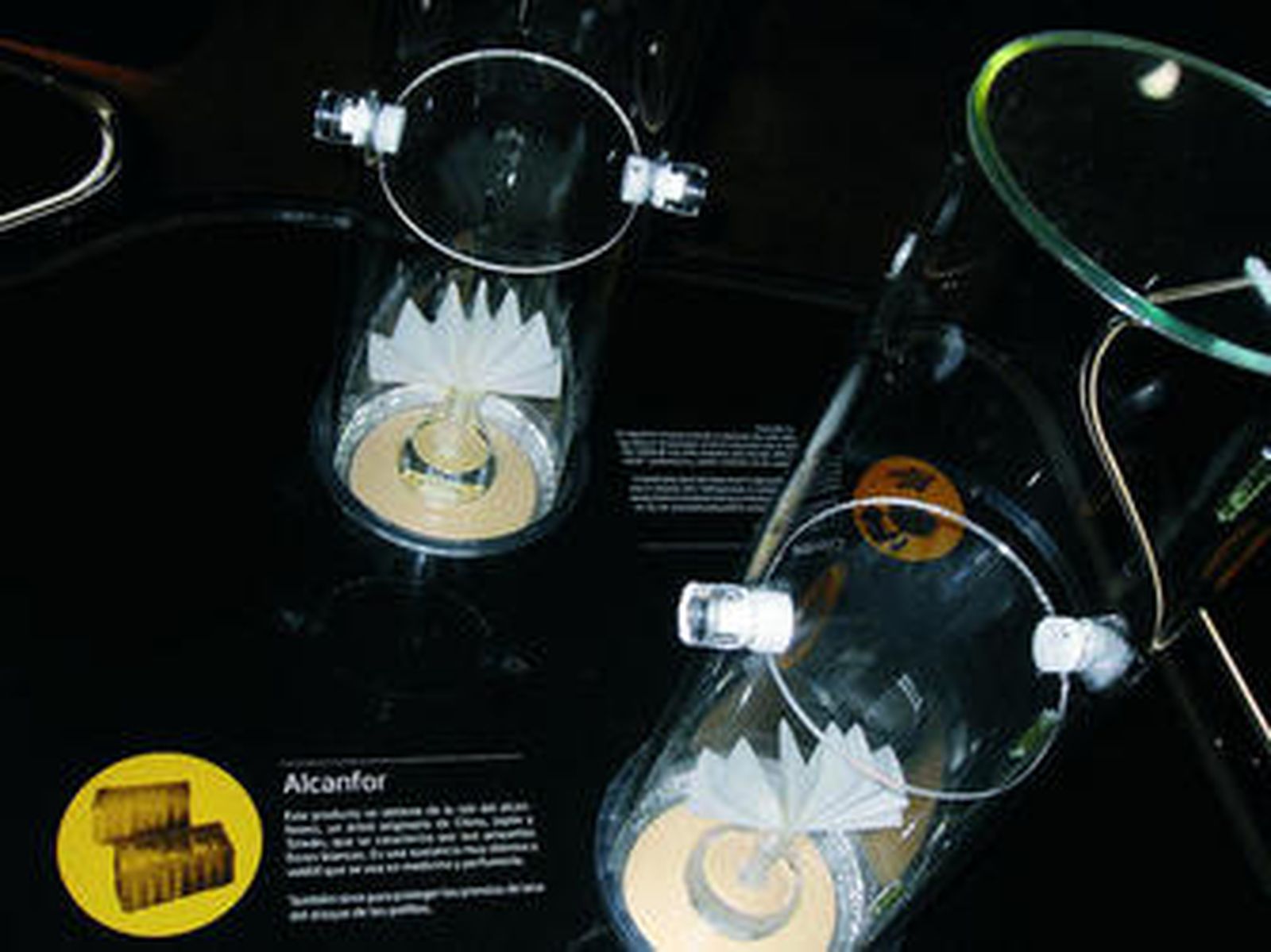 Aprendiendo a reciclar en el Cole