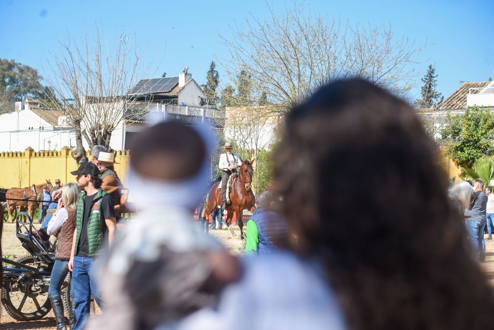 Las mejores imágenes de la Marcha Hípica Córdoba a Caballo del 28F de 2026
