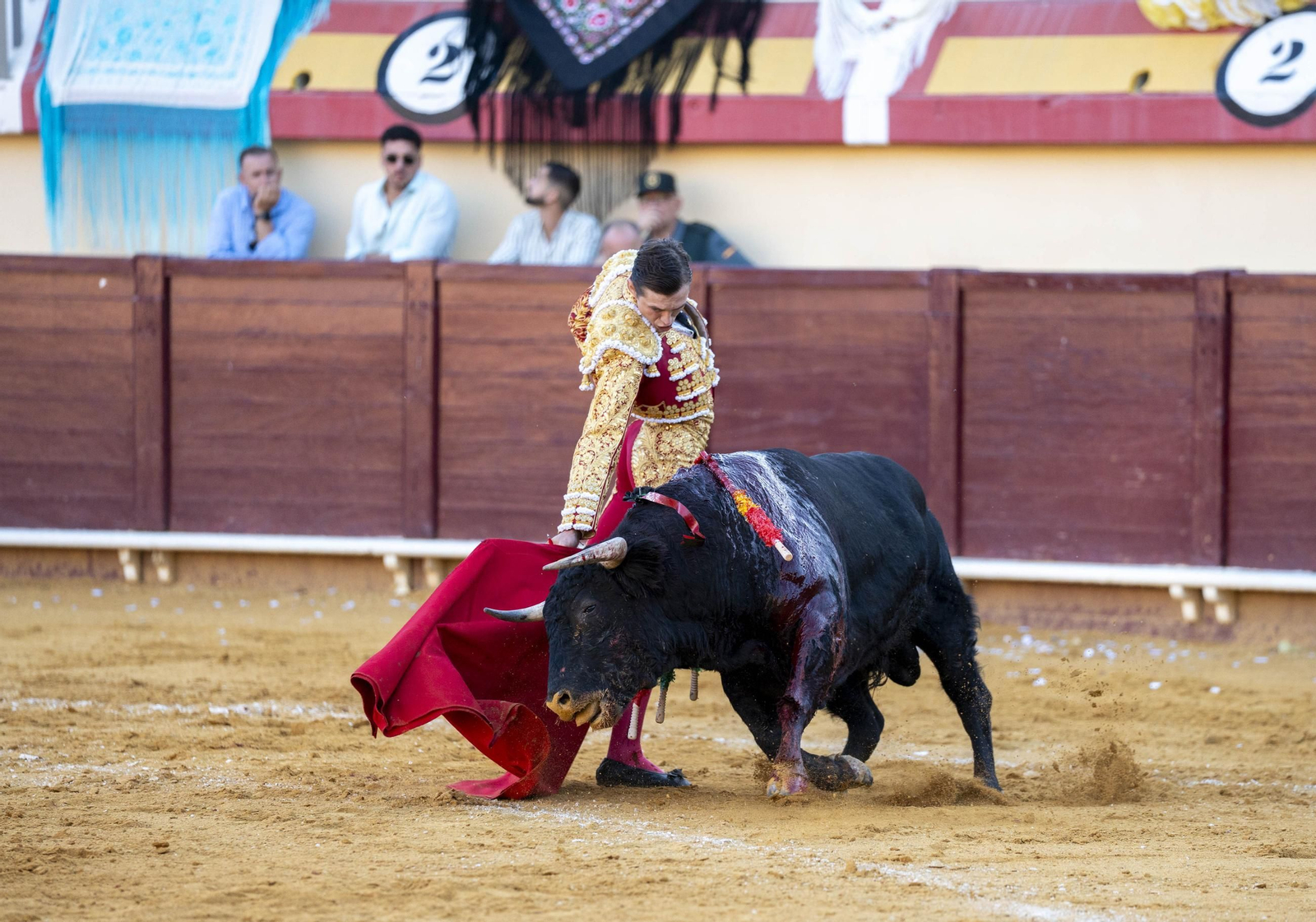 Las imágenes de los toros en Vera