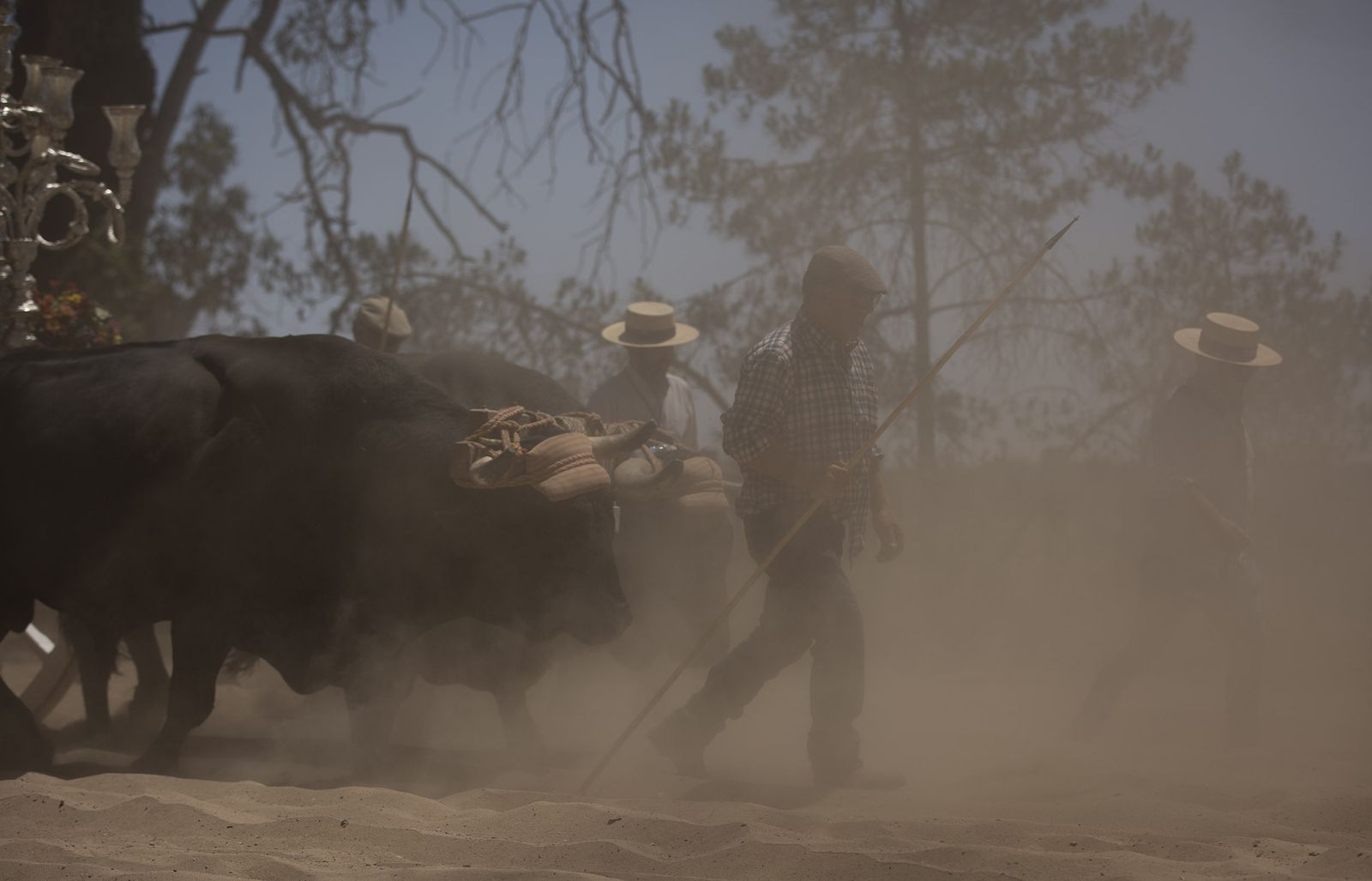 El paso de hermandades del Rocío por la Raya Real
