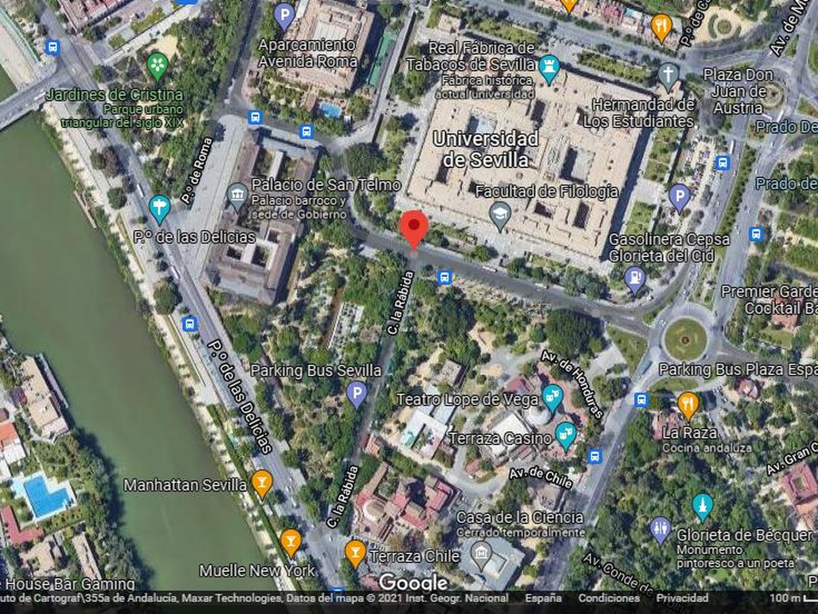 Herida una persona tras caerle una rama en la calle Palos de la Frontera