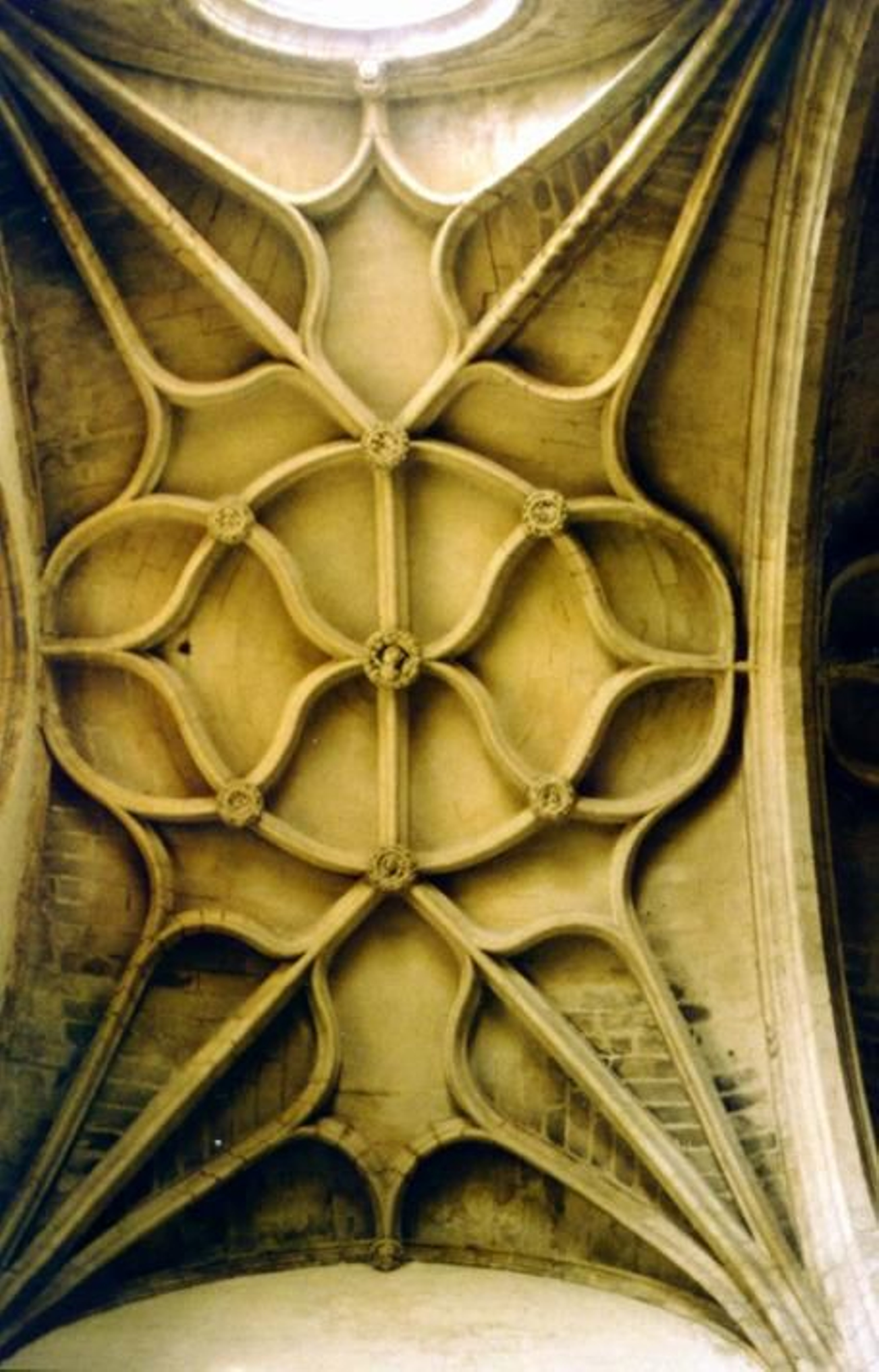 La bóveda número 6.