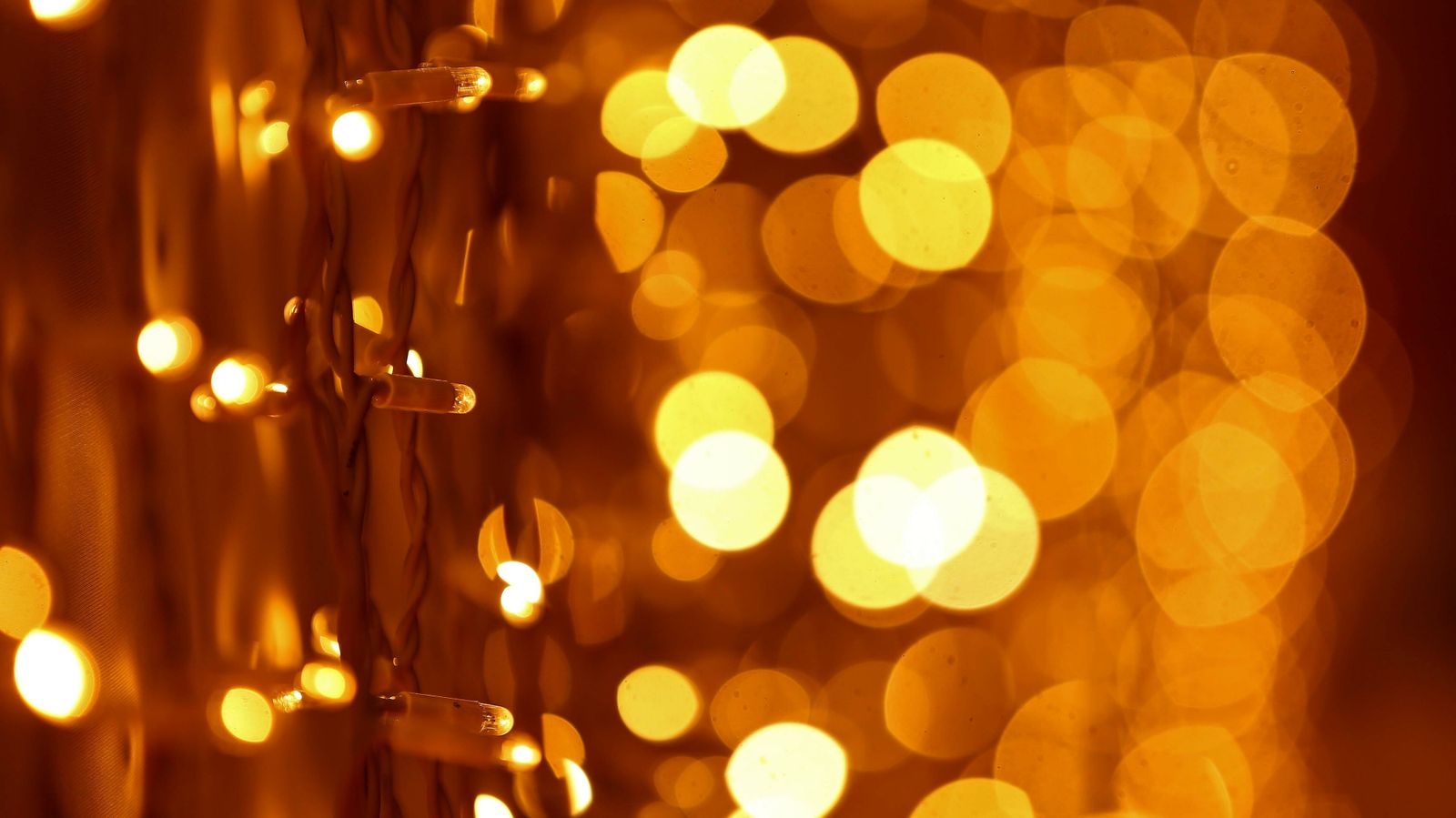 Las mejores fotos de la jornada inaugural de Bodasur en Algeciras