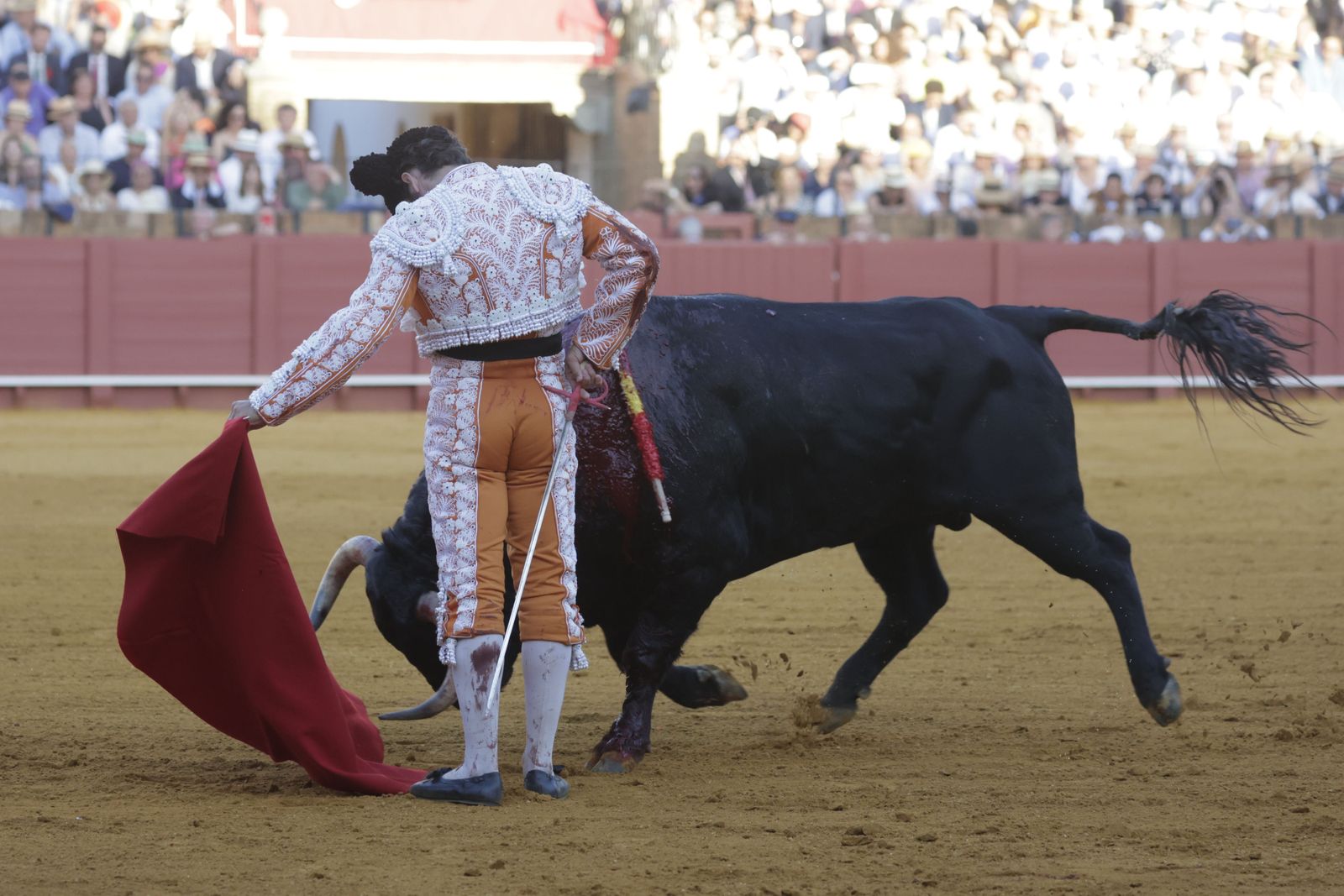 Las imágenes del festejo