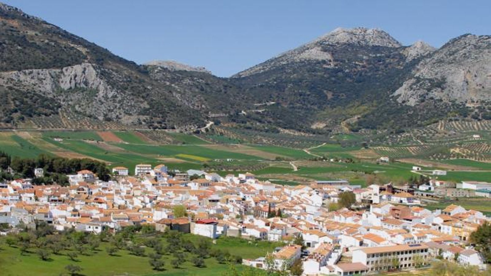 Vista panorámica de Alfarnate. Vista panorámica de Alfarnate.