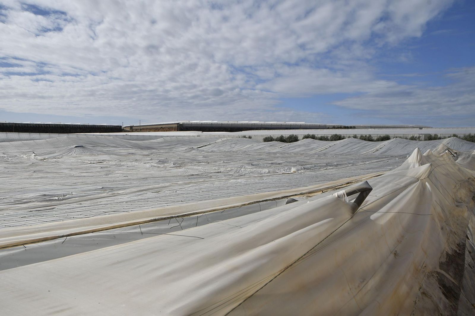 Un invernadero ejidense, afectado tras el paso de la dana del mes de octubre.