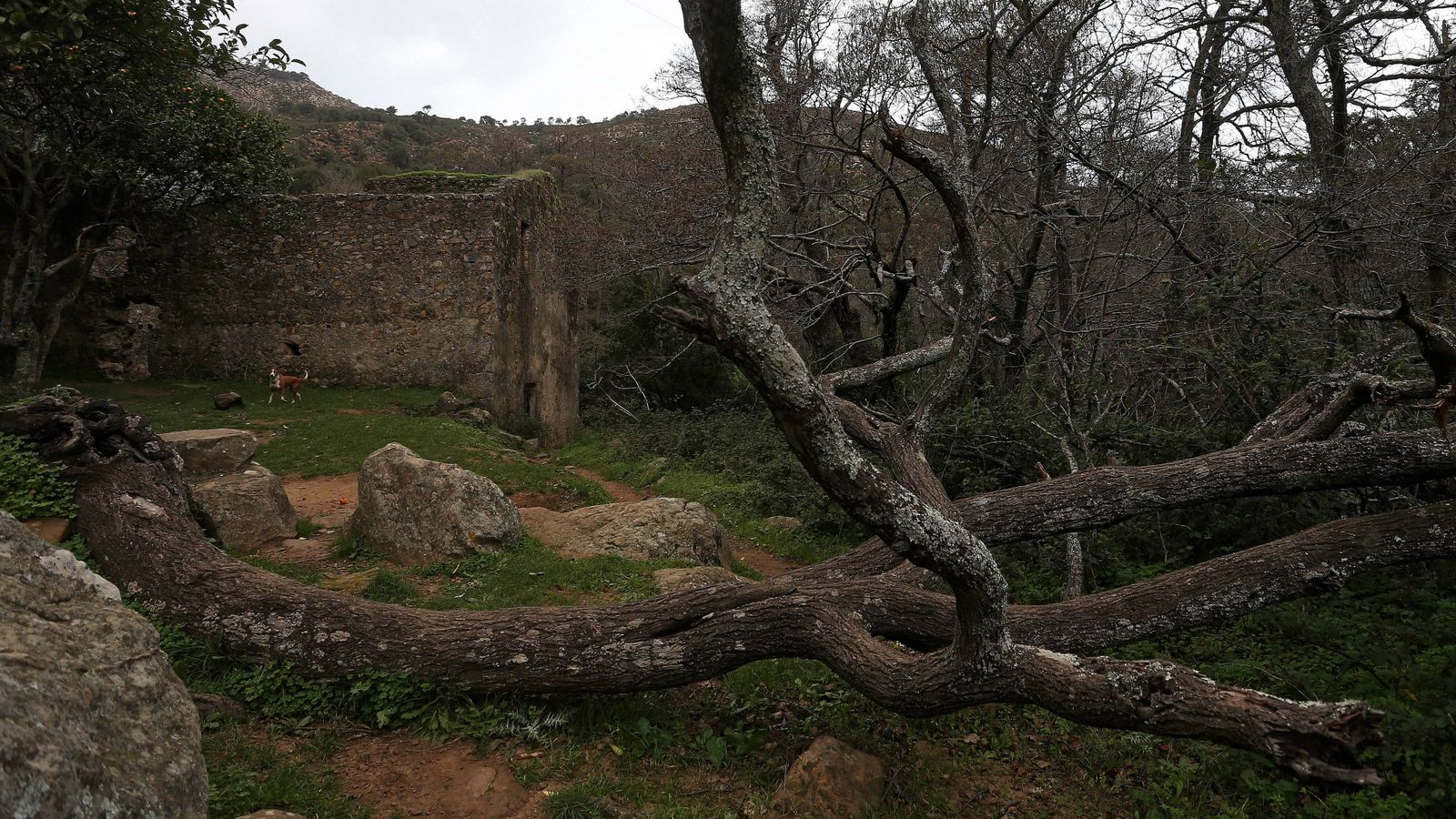 Las mejores fotos del sendero del Río de la Miel