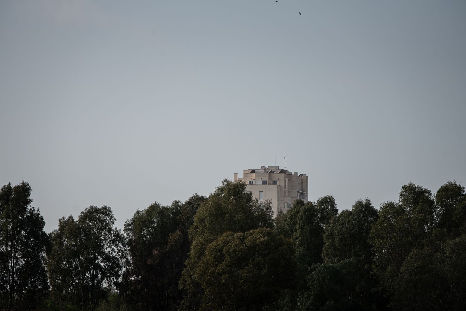Imágenes del día 25 de diciembre en Huelva