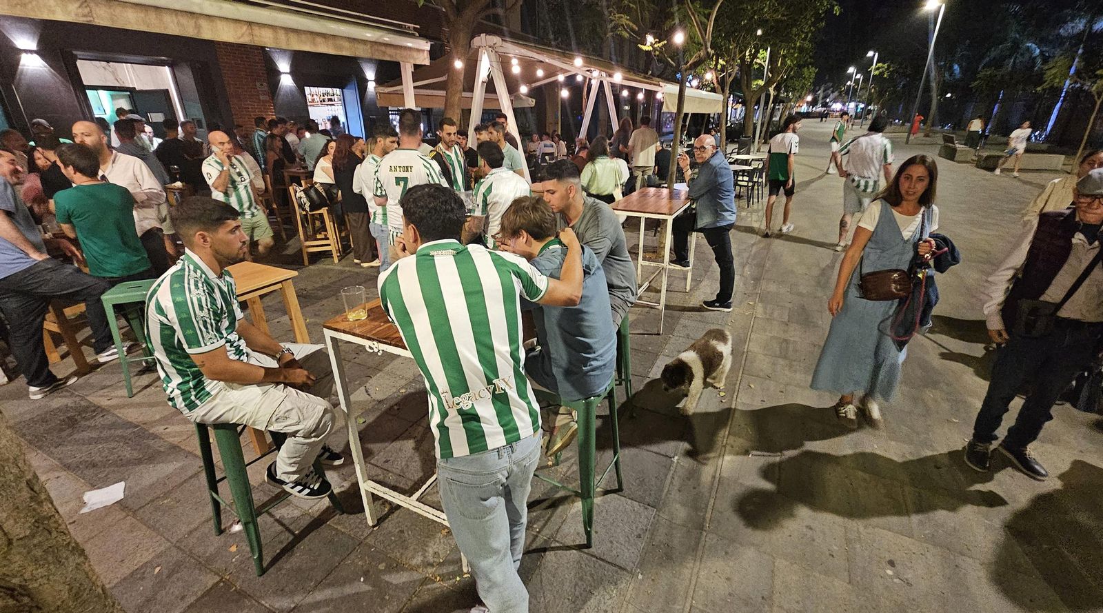 Así vivieron los béticos de Algeciras la final de la Conference League contra el Chelsea en el Botanic