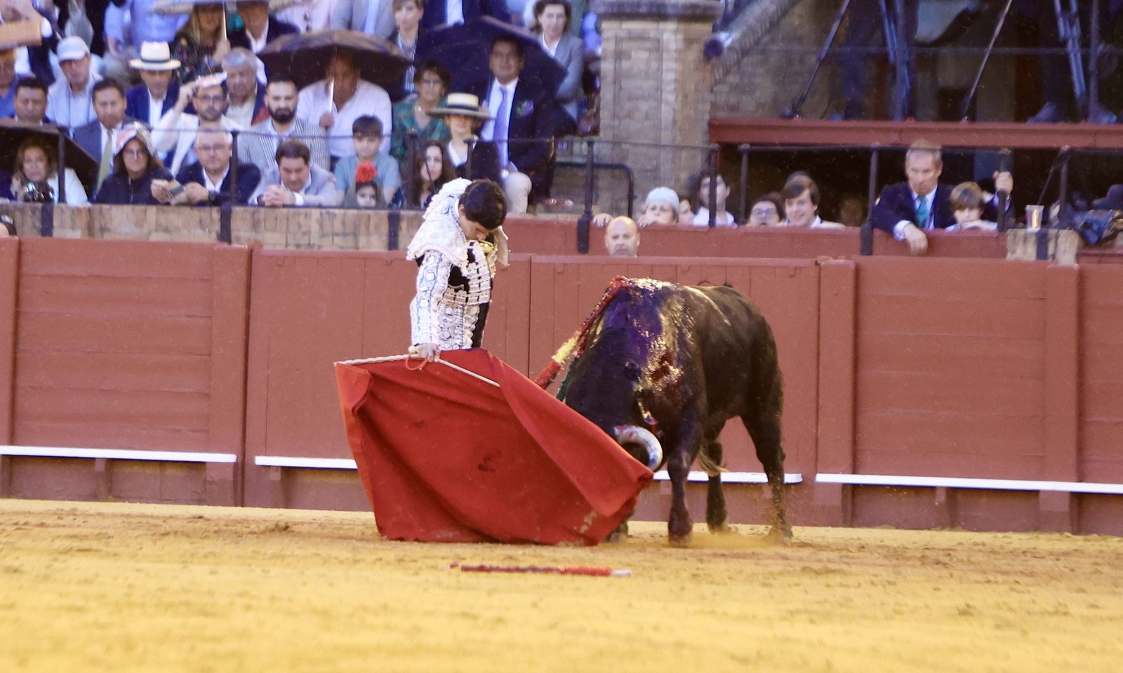 Las mejores imágenes de la corrida de toros de Juan Ortega, Roca Rey y Pablo Aguado