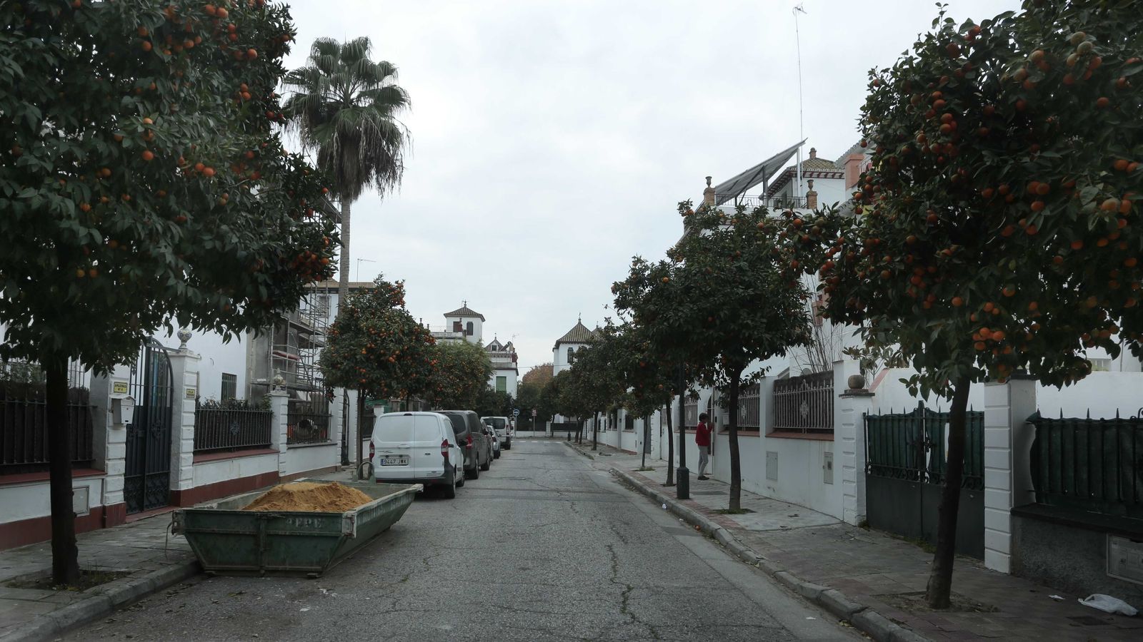 La calle Amazonas, donde los árboles de 1929 se han sustituido por naranjos.