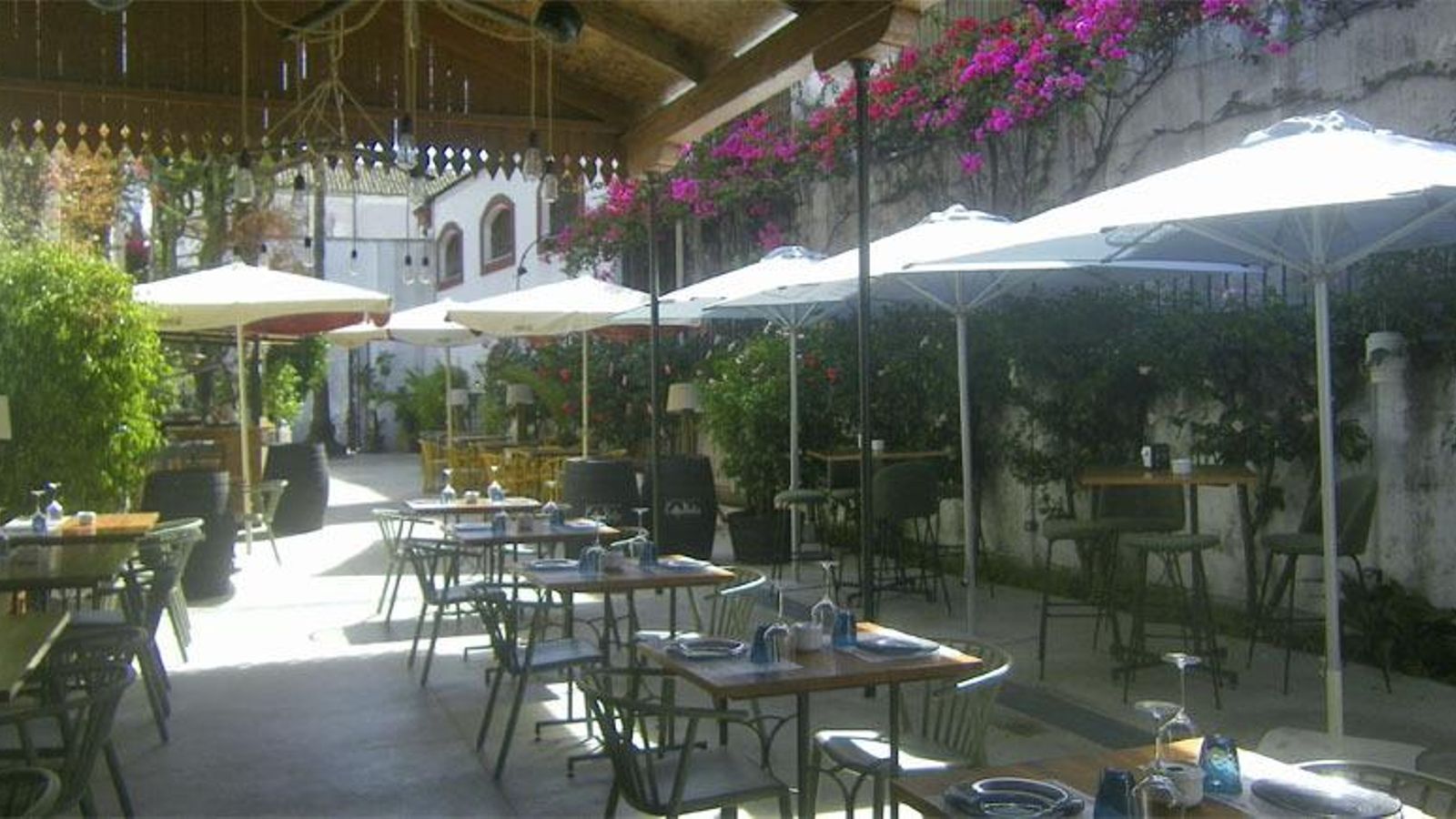 La terraza