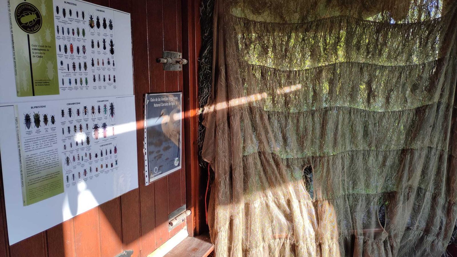 Interior del 'hide' de Rota.