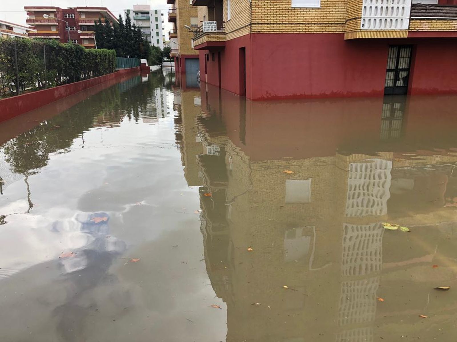 Los comercios de la la avenida de Castilla de La Antilla están prácticamente todos afectados y muchos coches y bajos de edificios