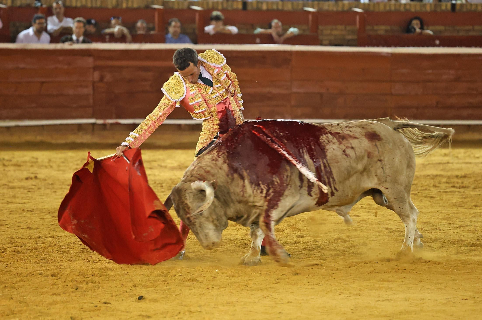 Toros La Merced: Imágenes de la corrida de David de Miranda, Roca Rey y Manzanare