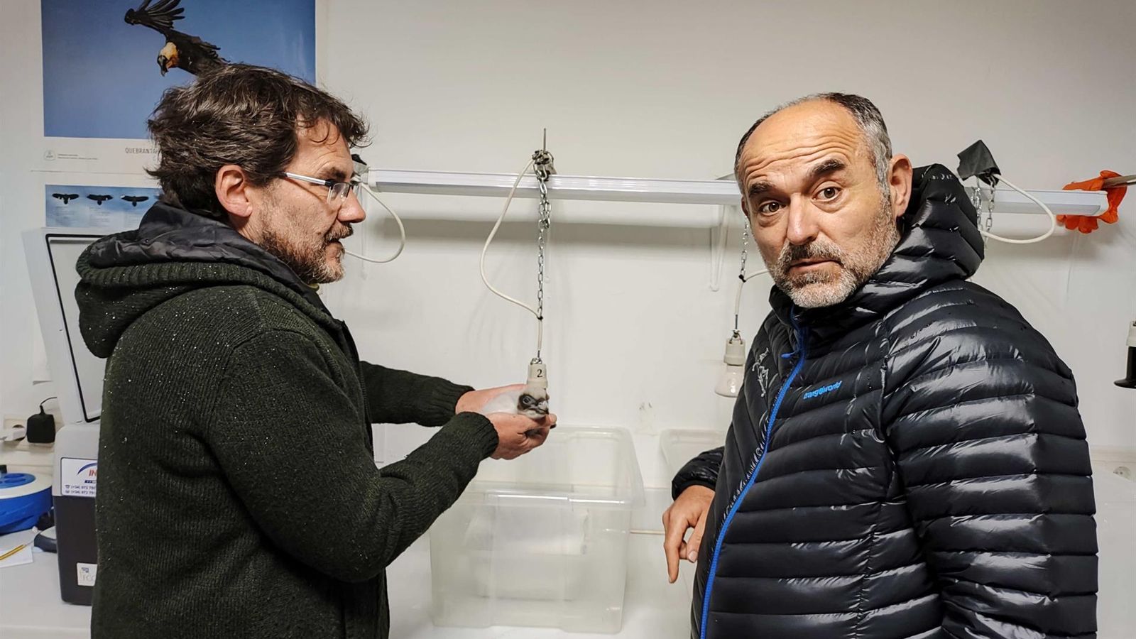 Personal de VCF y FCQ con uno de los pollos intercambiados.