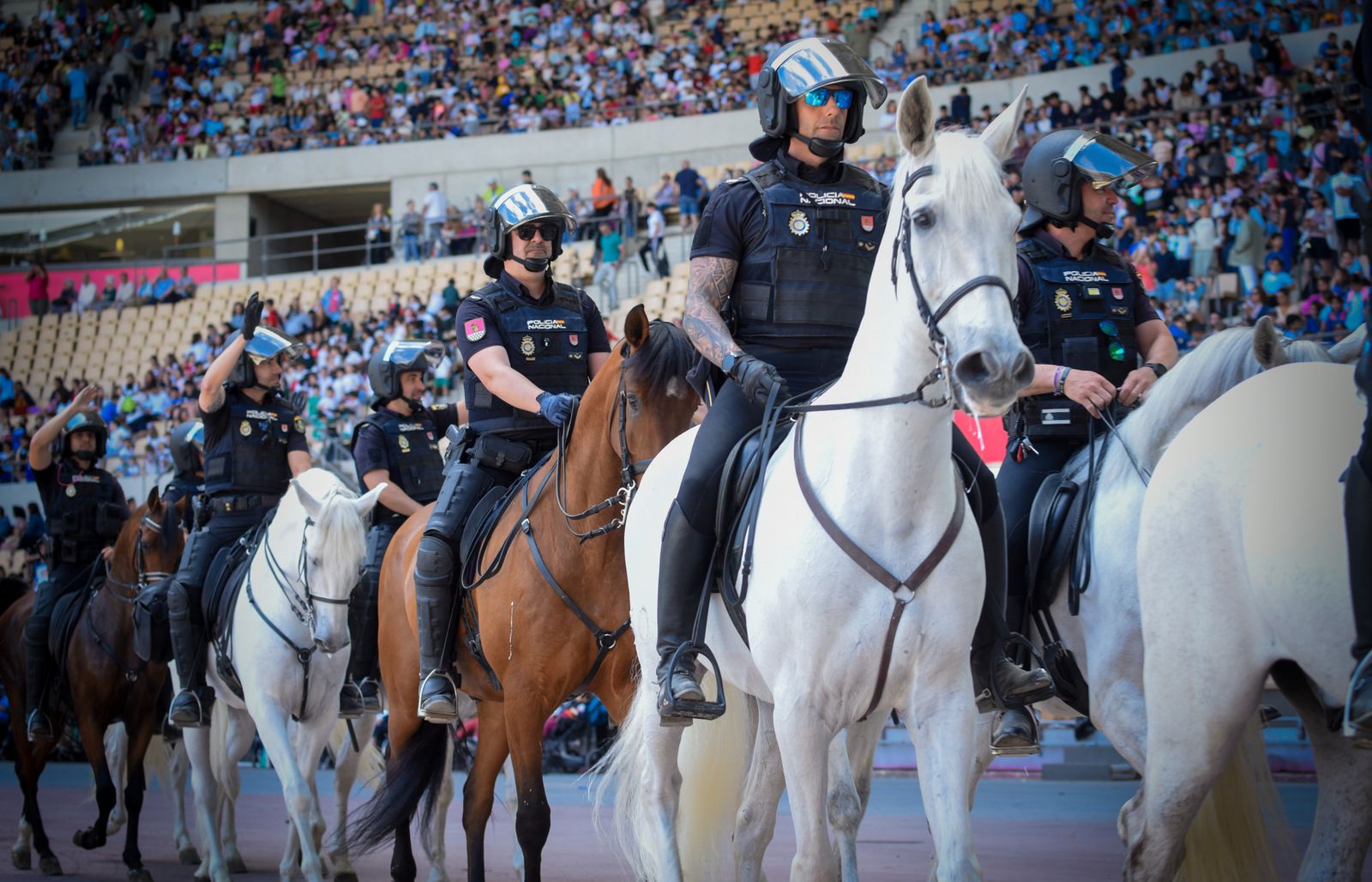 La exhibición policial con participación de la Unidad Aérea, Guías Caninos y Caballería, en imágenes
