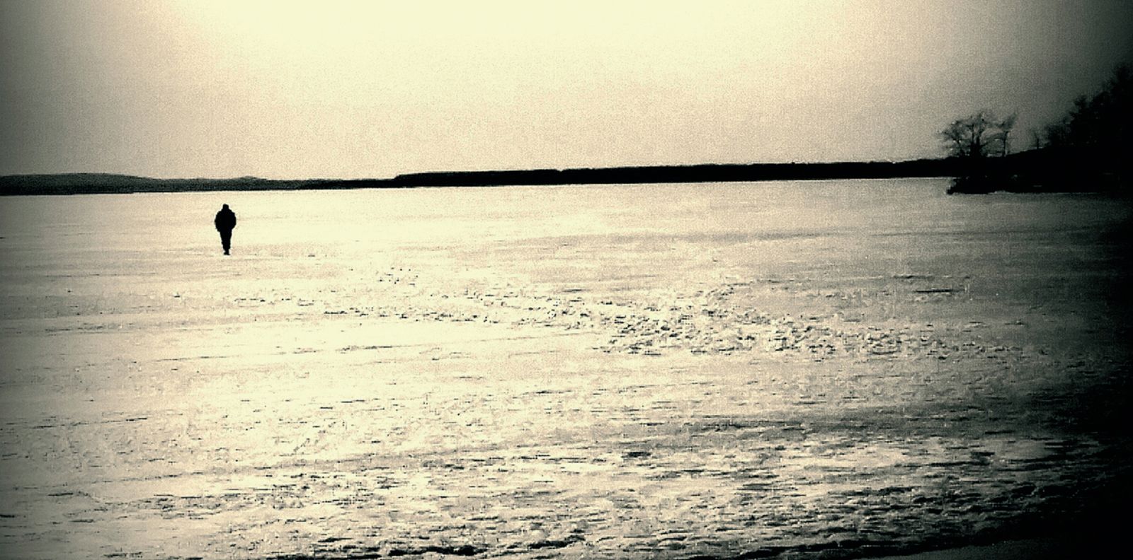 Imagen promocional del CD 'Goldberg' publicado por Contrastes Records.