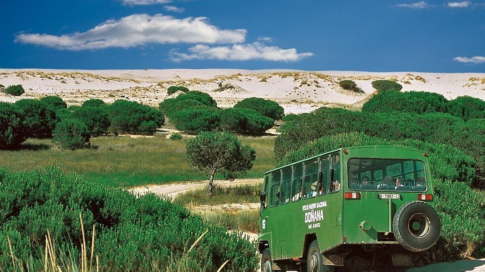 ¿Sabes que la mayor reserva ecológica de Europa está en Huelva?