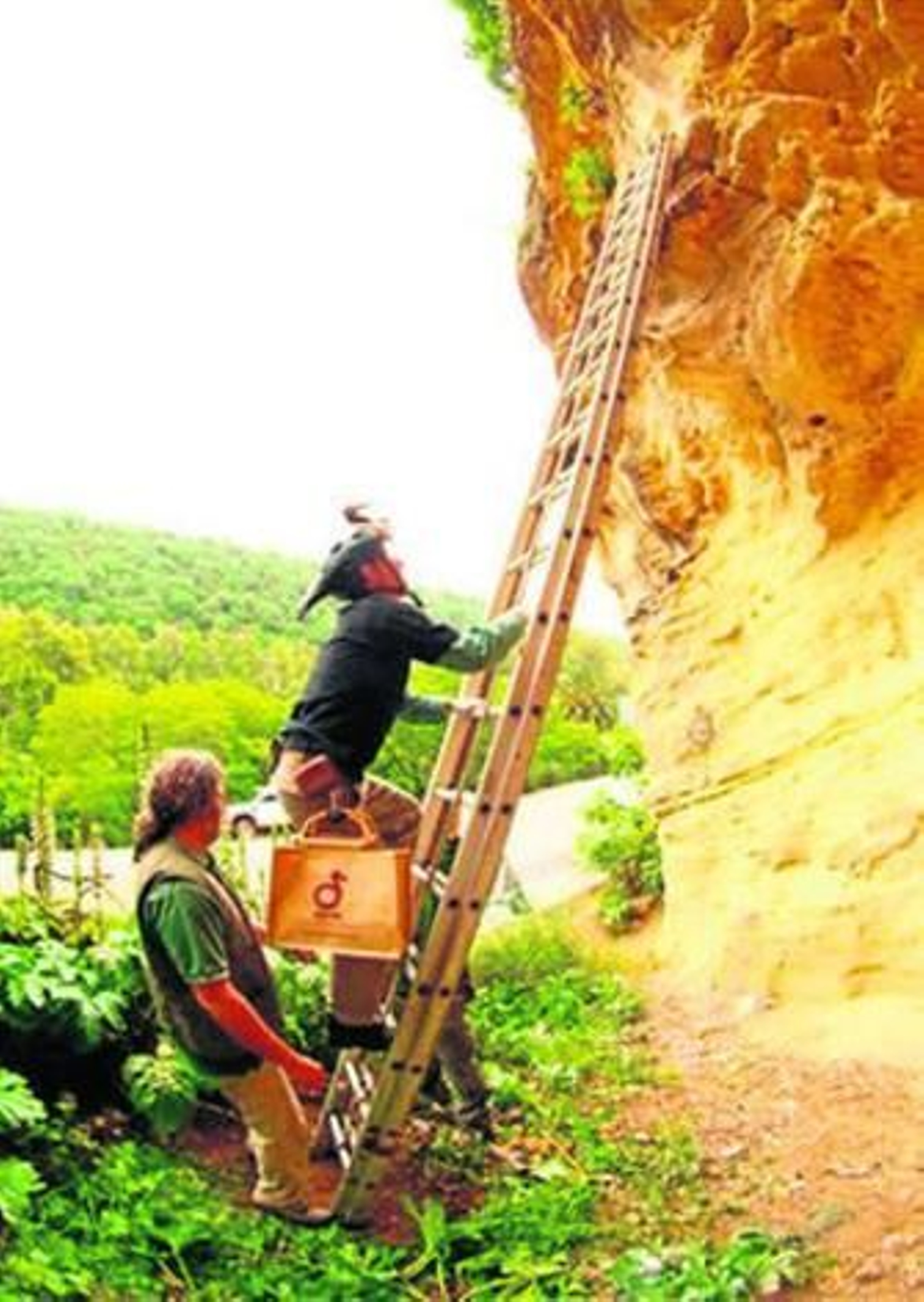 Salvaguardando la especie