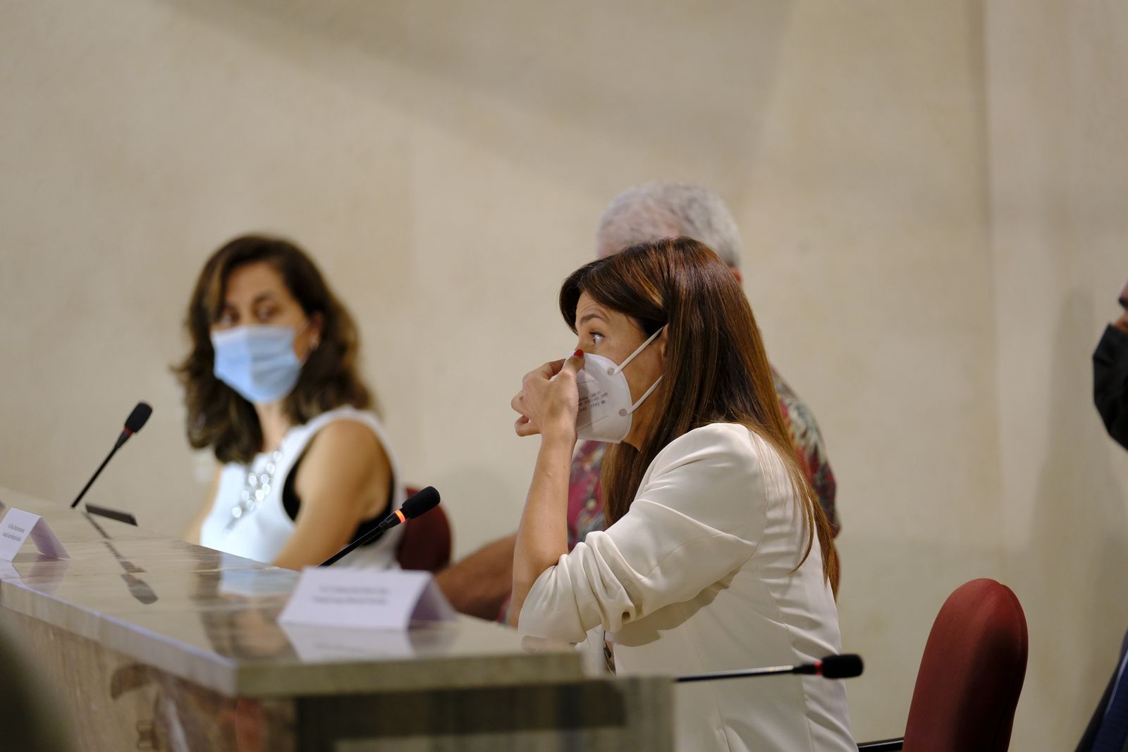 Fotogalería pleno ordinario del Ayuntamiento de Almería