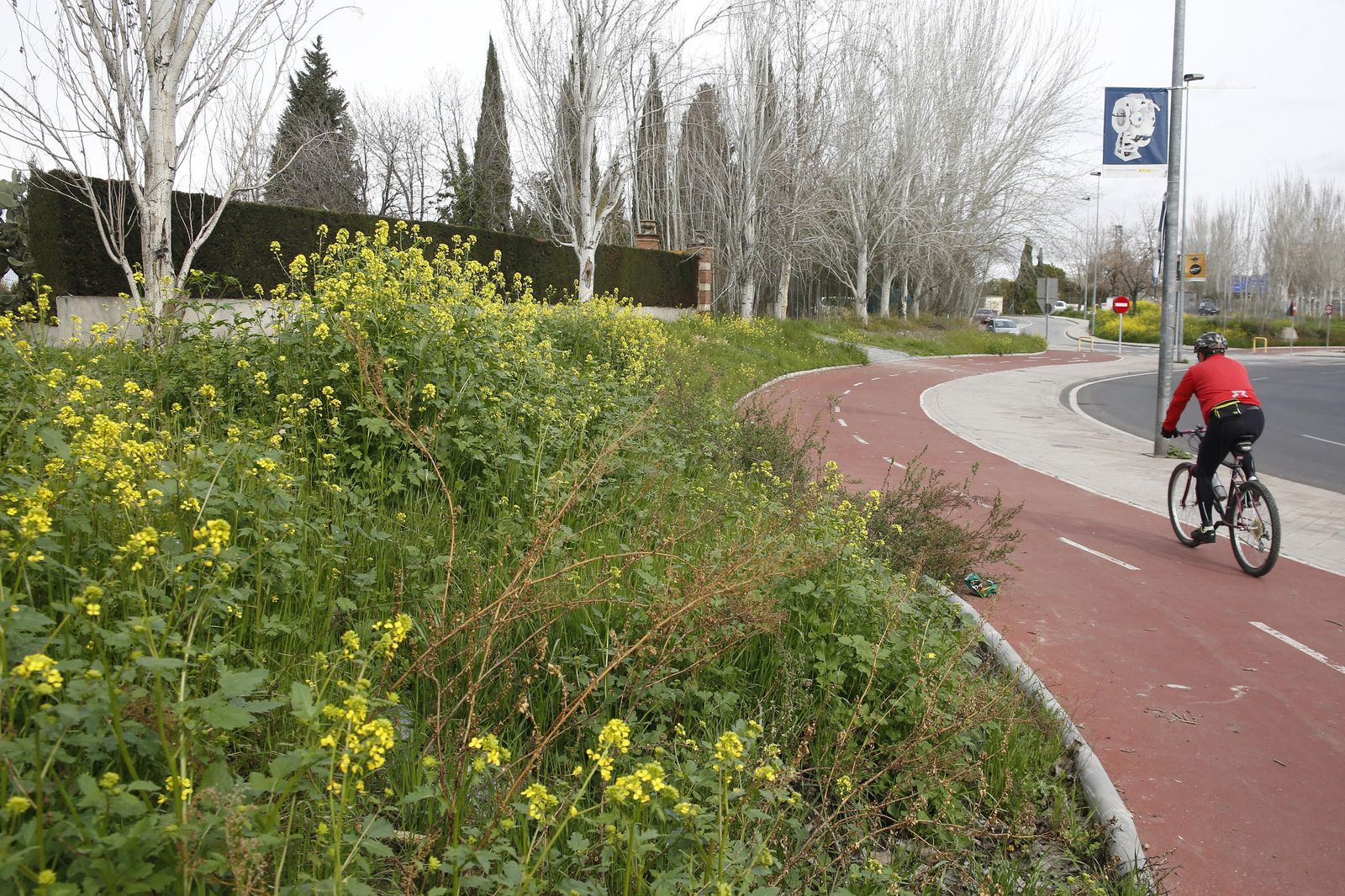 Las copiosas lluvias que se vienen produciendo desde hace semanas hará que ésta sea una primavera especialmente peligrosa para los alérgicos.