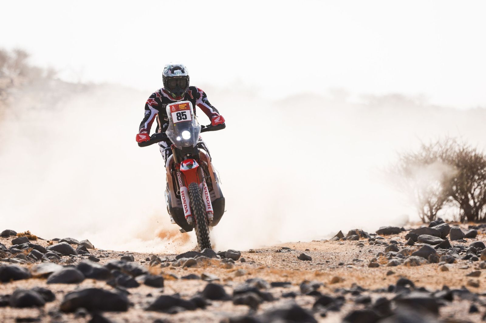 Las mejores fotos del Rally Dakar | undécima etapa