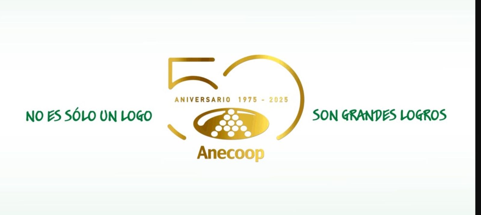 Imagen corporativa de Aneccop.