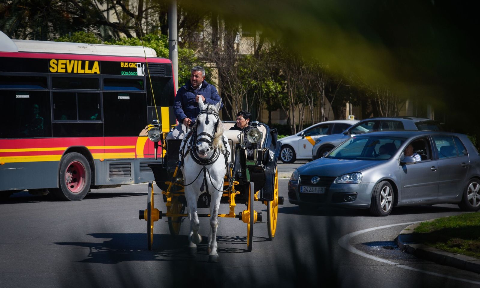 Un coche de caballos en medio del tráfico.
