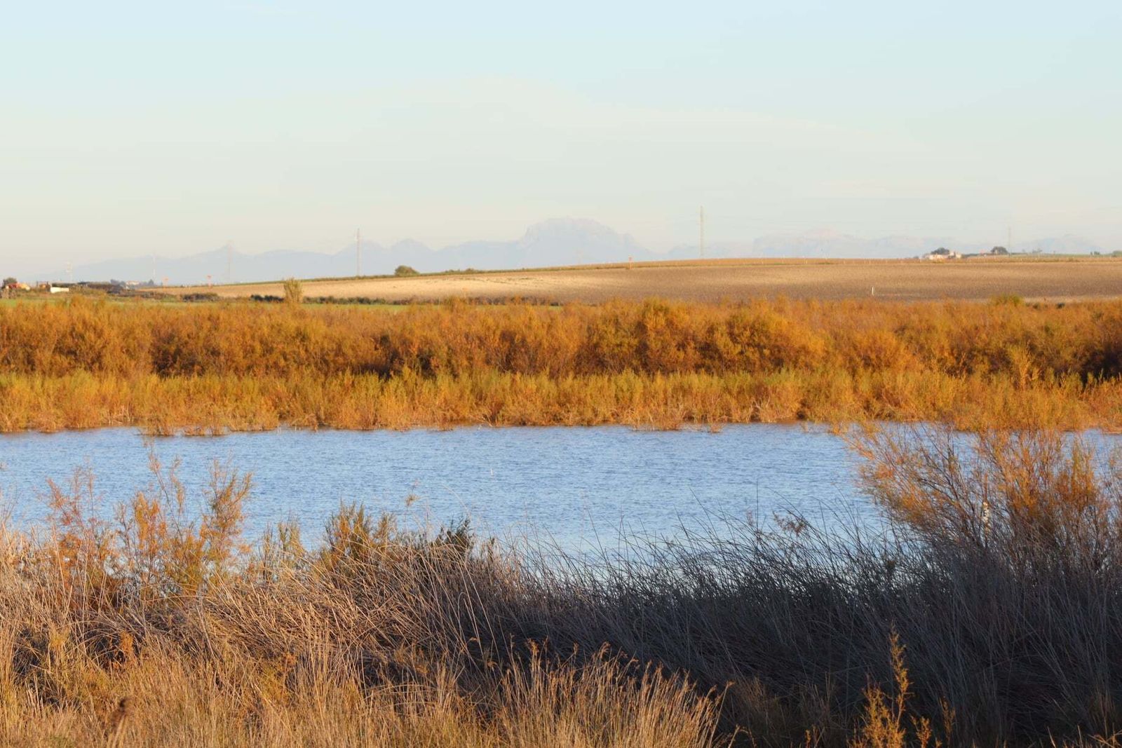 Una imagen de las lagunas portuenses.