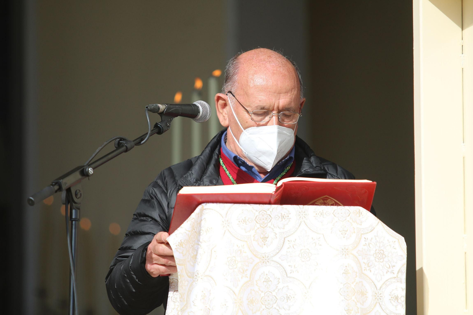 Fotogalería de la Romería de Torregarcía