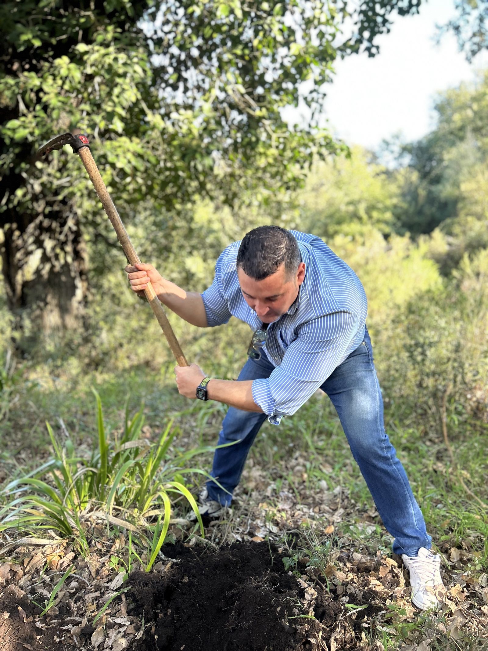 Jornada de reforestación en El Palancar por trabajadores de Acerinox, en imágenes