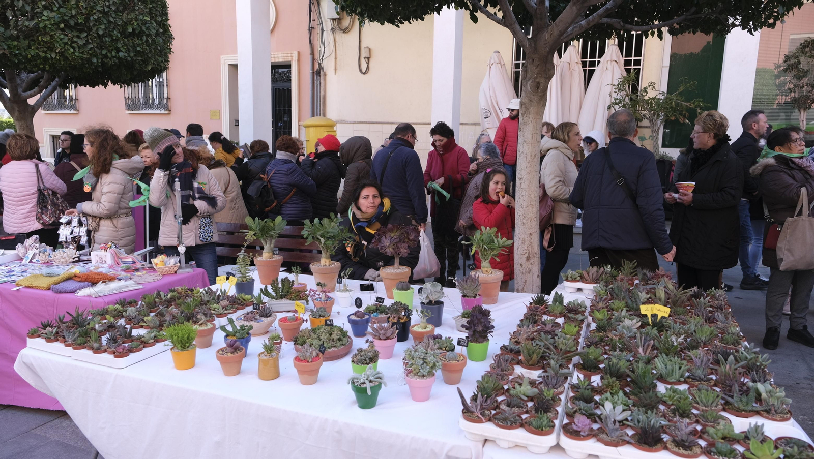 Imágenes del Día de la Naranja, en Gádor
